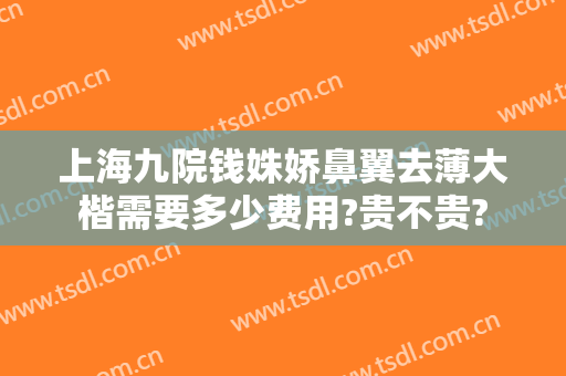 上海九院钱姝娇鼻翼去薄大楷需要多少费用?贵不贵?