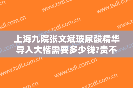 上海九院张文斌玻尿酸精华导入大楷需要多少钱?贵不贵?