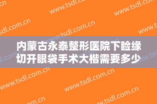 内蒙古永泰整形医院下睑缘切开眼袋手术大楷需要多少钱?贵不贵?