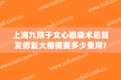 上海九院于文心眼袋术后复发修复大楷需要多少费用?怎么样?(上海九院做眼袋手术多少钱)