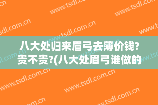 八大处归来眉弓去薄价钱?贵不贵?(八大处眉弓谁做的好)