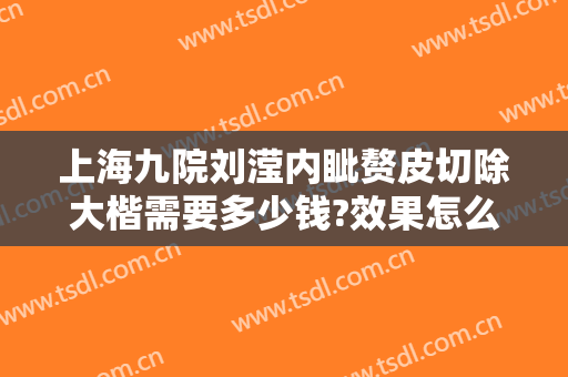 上海九院刘滢内眦赘皮切除大楷需要多少钱?效果怎么样?