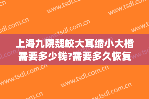 上海九院魏皎大耳缩小大楷需要多少钱?需要多久恢复?(上海九院魏皎怎么样啊)