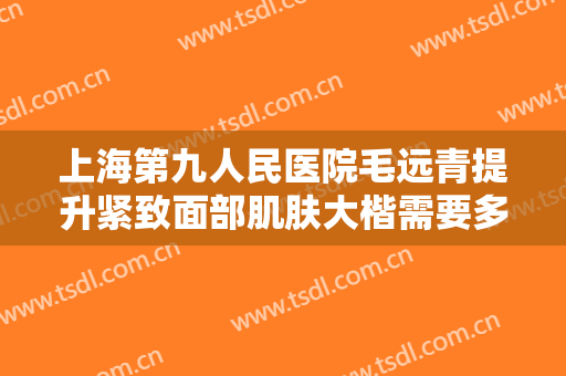 上海第九人民医院毛远青提升紧致面部肌肤大楷需要多少费用?怎么样?