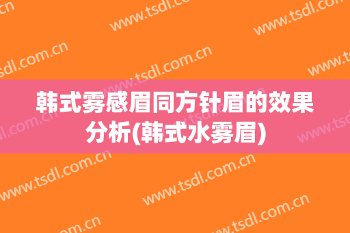 韩式雾感眉同方针眉的效果分析(韩式水雾眉)
