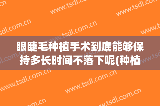 眼睫毛种植手术到底能够保持多长时间不落下呢(种植的睫毛可以保持多久)