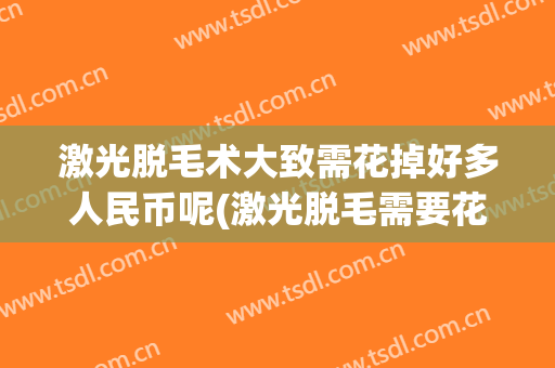 激光脱毛术大致需花掉好多人民币呢(激光脱毛需要花多少钱)