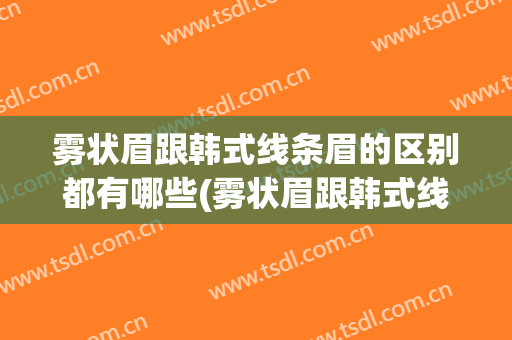 雾状眉跟韩式线条眉的区别都有哪些(雾状眉跟韩式线条眉的区别都有哪些颜色)