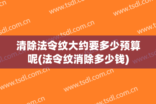 清除法令纹大约要多少预算呢(法令纹消除多少钱)