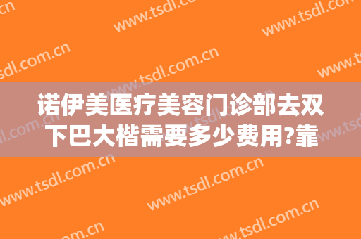 诺伊美医疗美容门诊部去双下巴大楷需要多少费用?靠谱吗?(双下巴可以做什么医美)