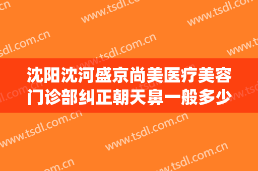 沈阳沈河盛京尚美医疗美容门诊部纠正朝天鼻一般多少钱?好不好?(沈阳盛京医美医疗美容医院怎么样)