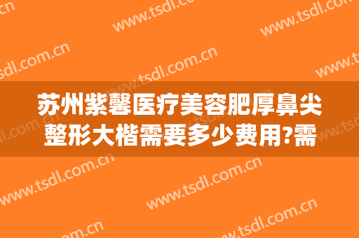 苏州紫馨医疗美容肥厚鼻尖整形大楷需要多少费用?需要多久恢复?(紫 馨广州三级外科的鼻子整形医院)