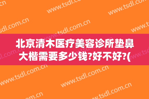 北京清木医疗美容诊所垫鼻大楷需要多少钱?好不好?(北京整鼻子价格)