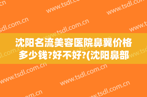 沈阳名流美容医院鼻翼价格多少钱?好不好?(沈阳鼻部整形好的医院)