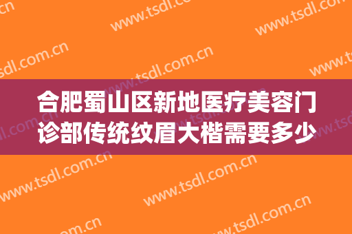 合肥蜀山区新地医疗美容门诊部传统纹眉大楷需要多少钱?可靠吗?(合肥赵小刀纹眉怎么样?)