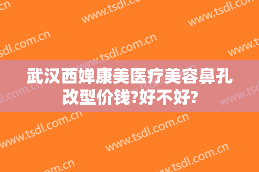 武汉西婵康美医疗美容鼻孔改型价钱?好不好?