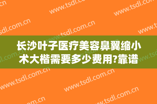 长沙叶子医疗美容鼻翼缩小术大楷需要多少费用?靠谱吗?(整形医院缩小鼻翼需要多少钱)
