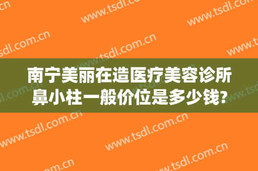 南宁美丽在造医疗美容诊所鼻小柱一般价位是多少钱?好不好?(南宁丽美整形医院怎么样)
