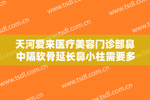 天河爱来医疗美容门诊部鼻中隔软骨延长鼻小柱需要多少费用?靠谱吗?