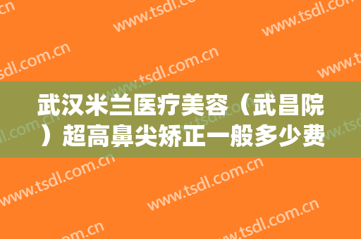武汉米兰医疗美容（武昌院）超高鼻尖矫正一般多少费用?贵不贵?(武汉米兰整形美容院怎么样)
