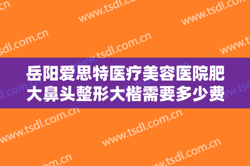 岳阳爱思特医疗美容医院肥大鼻头整形大楷需要多少费用?效果怎么样?