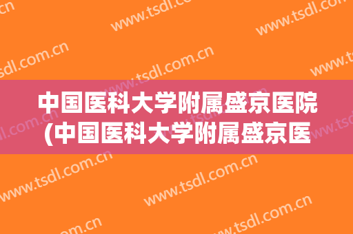 中国医科大学附属盛京医院(中国医科大学附属盛京医院大连医院双D港院区)