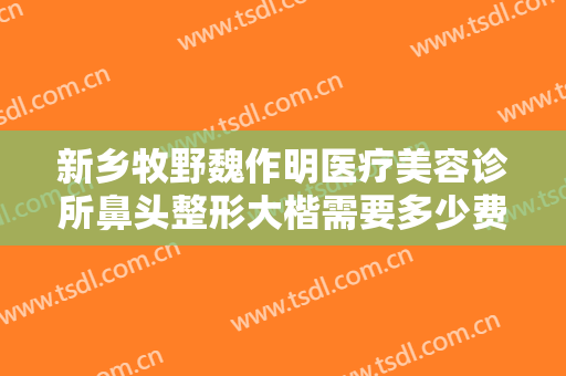 新乡牧野魏作明医疗美容诊所鼻头整形大楷需要多少费用?效果怎么样?