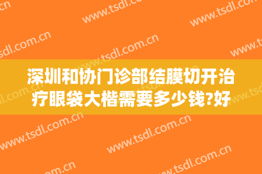 深圳和协门诊部结膜切开治疗眼袋大楷需要多少钱?好不好?(北京协和医院做眼袋多少钱)