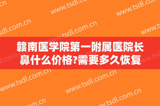 赣南医学院第一附属医院长鼻什么价格?需要多久恢复?