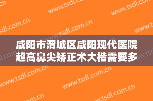 咸阳市渭城区咸阳现代医院超高鼻尖矫正术大楷需要多少钱?怎么样?