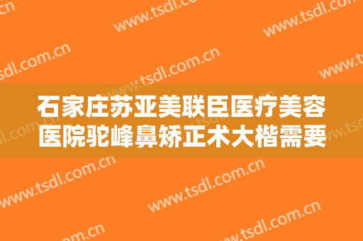 石家庄苏亚美联臣医疗美容医院驼峰鼻矫正术大楷需要多少钱?贵不贵?