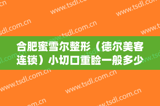合肥蜜雪尔整形（德尔美客连锁）小切口重睑一般多少钱?好不好?(合肥蜜雪尔整形在哪里)