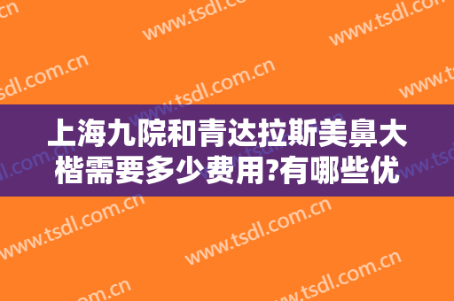 上海九院和青达拉斯美鼻大楷需要多少费用?有哪些优势?