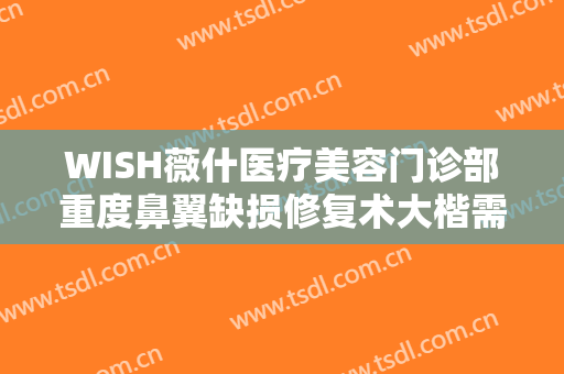 WISH薇什医疗美容门诊部重度鼻翼缺损修复术大楷需要多少钱?有哪些优势?
