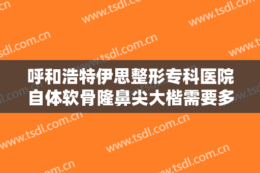 呼和浩特伊思整形专科医院自体软骨隆鼻尖大楷需要多少钱?效果怎么样?