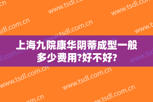 上海九院康华阴蒂成型一般多少费用?好不好?