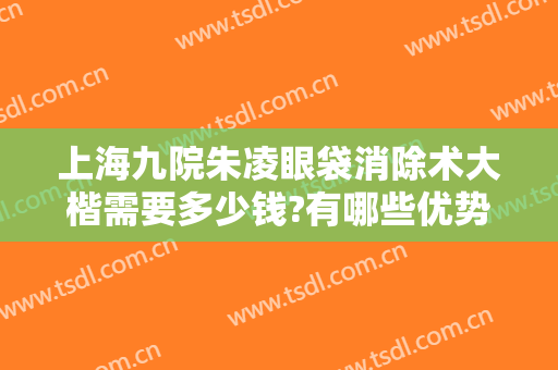 上海九院朱凌眼袋消除术大楷需要多少钱?有哪些优势?