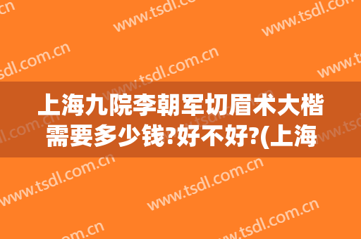 上海九院李朝军切眉术大楷需要多少钱?好不好?(上海九医院提眉手术价格)