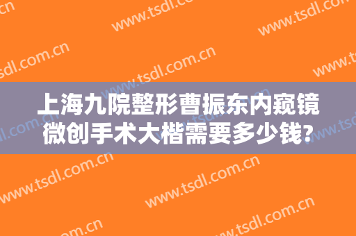 上海九院整形曹振东内窥镜微创手术大楷需要多少钱?多长时间恢复?