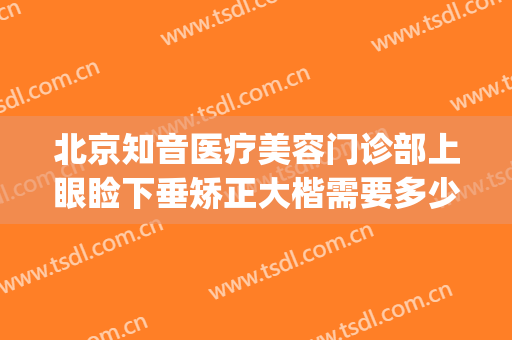 北京知音医疗美容门诊部上眼睑下垂矫正大楷需要多少钱?好不好?(北京治疗眼皮下垂最好的医院)