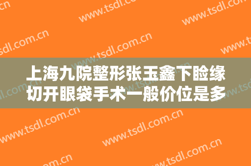 上海九院整形张玉鑫下睑缘切开眼袋手术一般价位是多少费用?好不好?