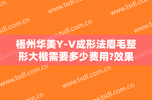 梧州华美Y-V成形法眉毛整形大楷需要多少费用?效果怎么样?
