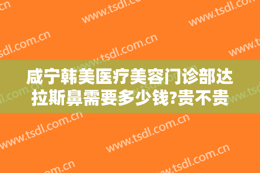 咸宁韩美医疗美容门诊部达拉斯鼻需要多少钱?贵不贵?