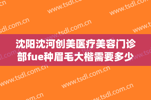 沈阳沈河创美医疗美容门诊部fue种眉毛大楷需要多少费用?贵不贵?(沈阳植眉的医院)