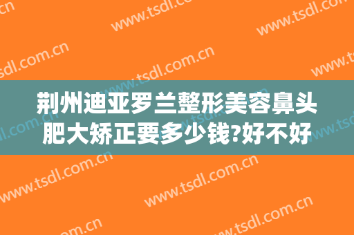 荆州迪亚罗兰整形美容鼻头肥大矫正要多少钱?好不好?(荆州鼻头整形费用)