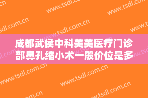 成都武侯中科美美医疗门诊部鼻孔缩小术一般价位是多少费用?好不好?