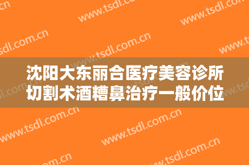 沈阳大东丽合医疗美容诊所切割术酒糟鼻治疗一般价位是多少钱?有哪些优势?