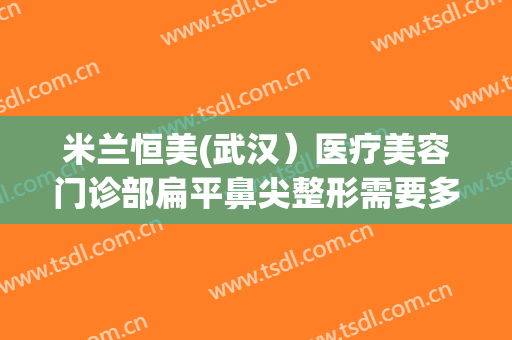米兰恒美(武汉）医疗美容门诊部扁平鼻尖整形需要多少费用?效果怎么样?