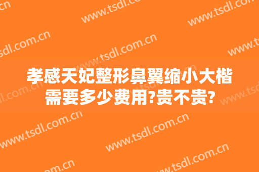 孝感天妃整形鼻翼缩小大楷需要多少费用?贵不贵?