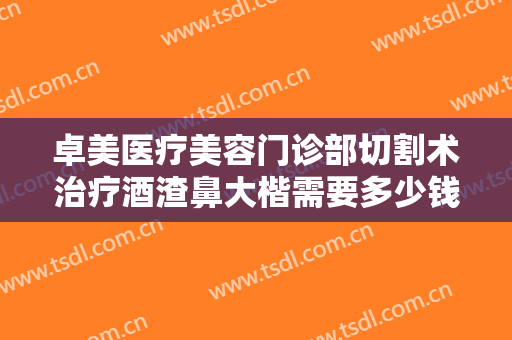 卓美医疗美容门诊部切割术治疗酒渣鼻大楷需要多少钱?效果怎么样?